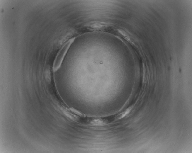 X0000064060562200601271255