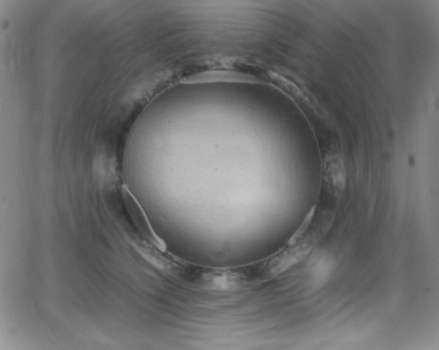 X0000064060564200601271255