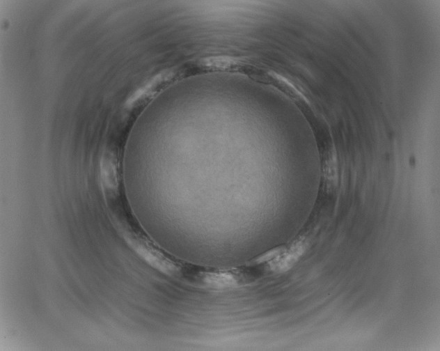 X0000064060572200601271255