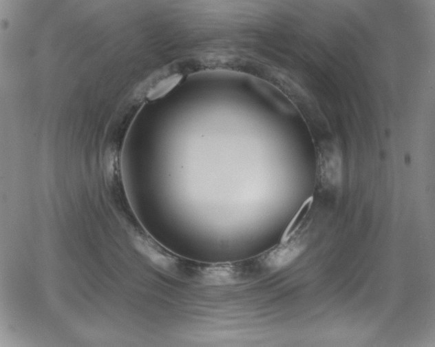 X0000064060574200601271255
