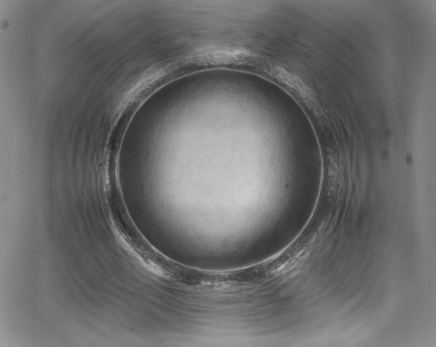X0000064060582200601271254