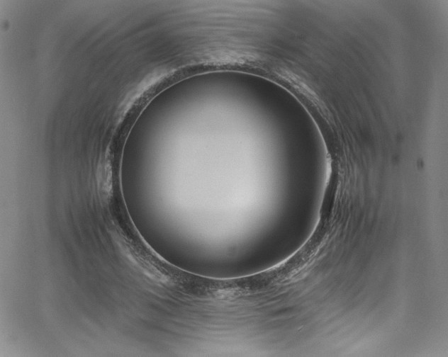 X0000064060584200601271254
