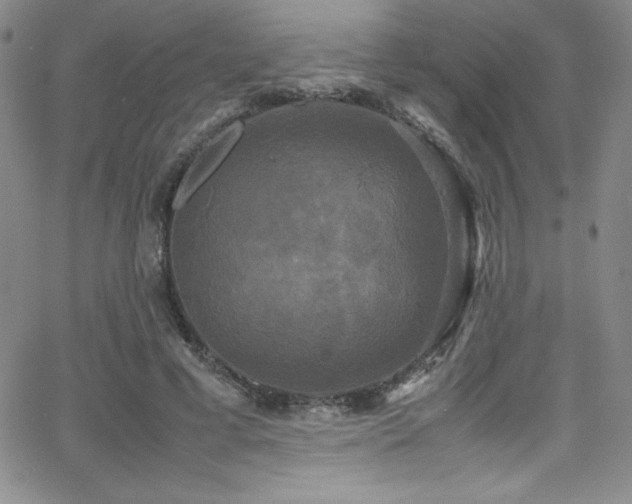 X0000064060593200601271254