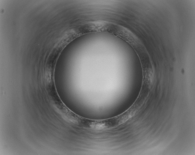 X0000064060602200601271254