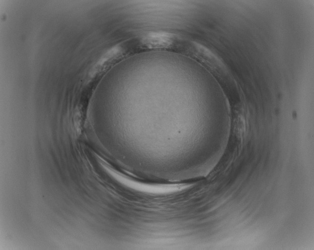 X0000064060604200601271254