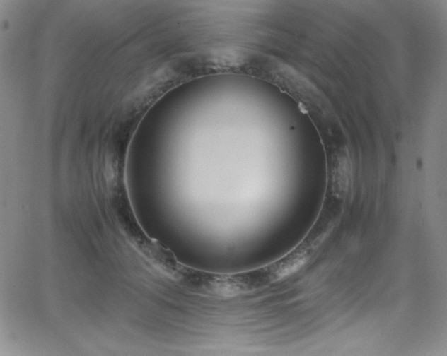X0000064060608200601271254