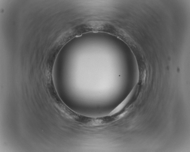 X0000064060609200601271254