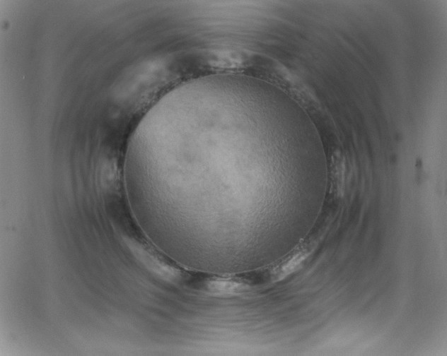 X0000064060614200601271254