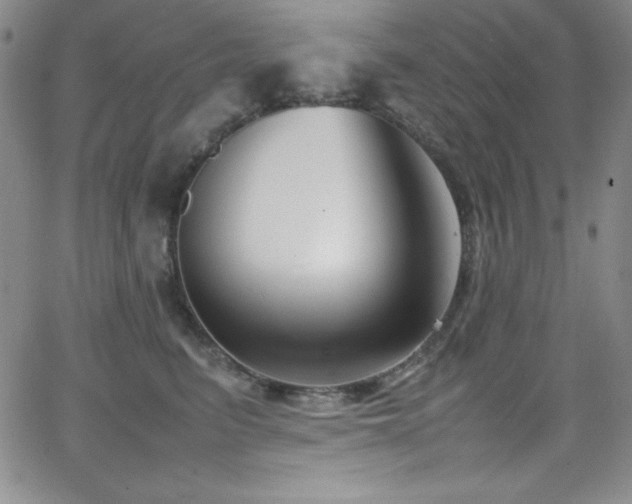 X0000064060615200601271254