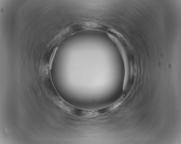 X0000064060621200601271254