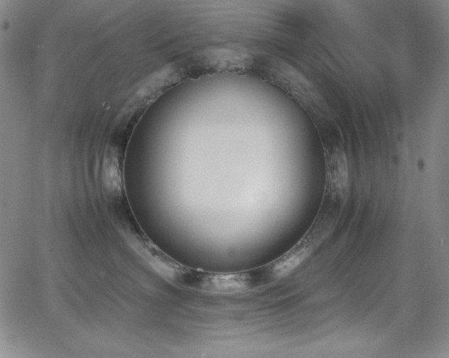 X0000064060622200601271254