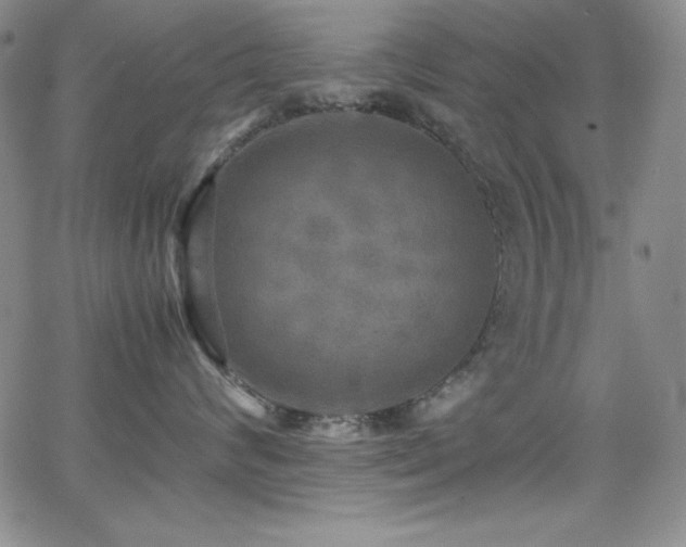 X0000064060624200601271254