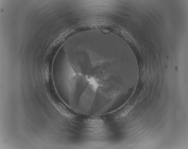 X0000064060644200601271253