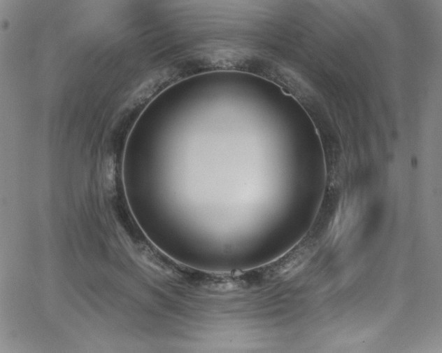 X0000064060646200601271253
