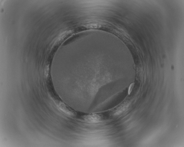 X0000064060652200601271253