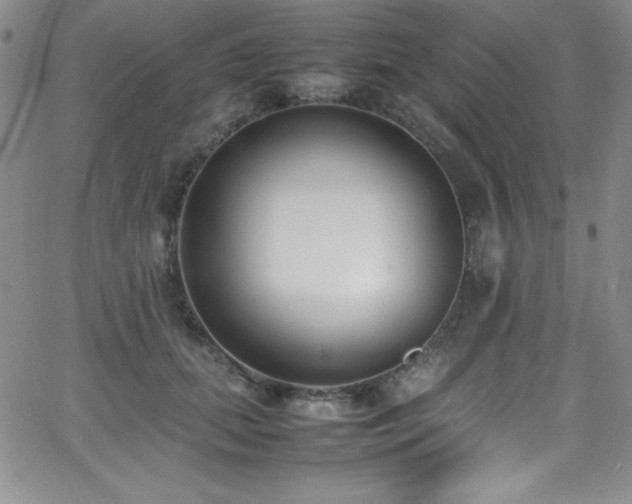 X0000064060655200601271253