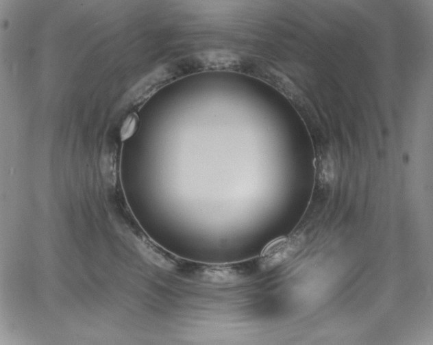 X0000064060666200601271253