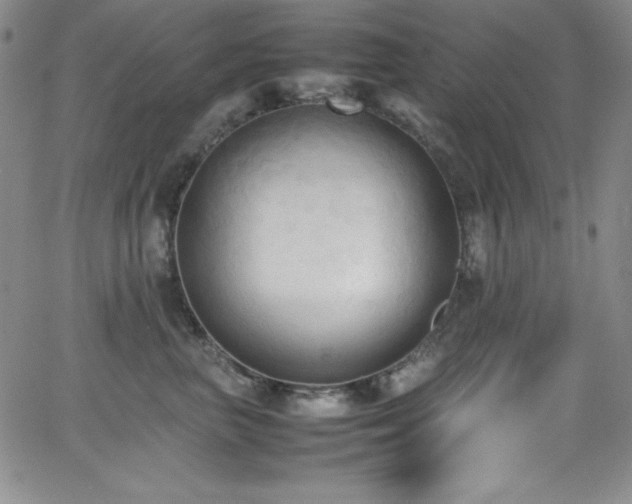 X0000064060667200601271253