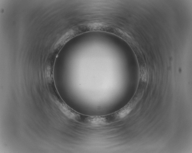 X0000064060670200601271254