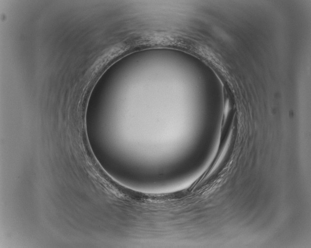 X0000064060673200601271253