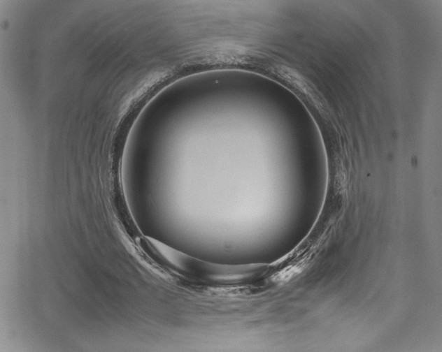 X0000064060677200601271253