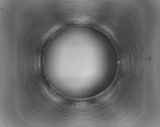 X0000064060686200601271253