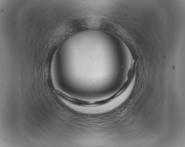 X0000064060697200601271252