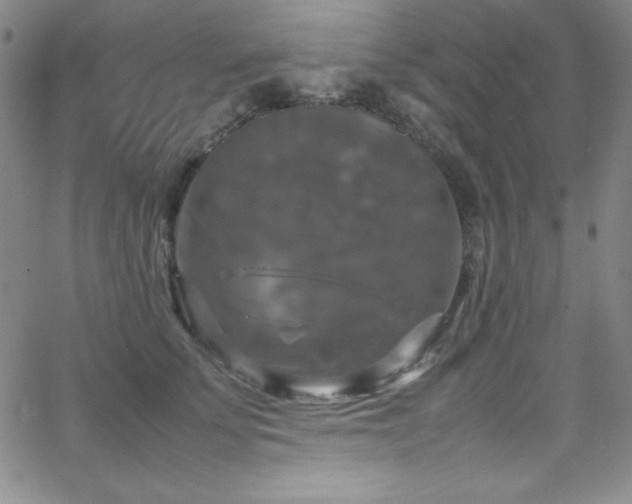 X0000064060707200601271252