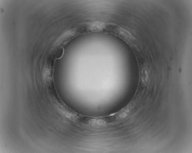 X0000064060714200601271252