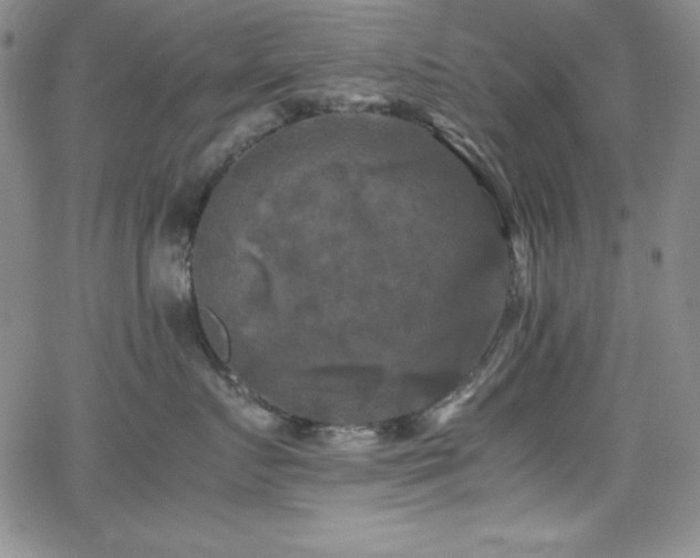 X0000064060719200601271252
