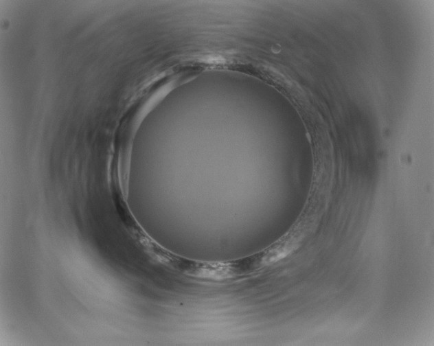 X0000064060720200601271252