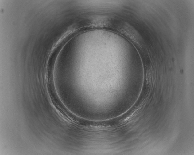 X0000064060722200601271251