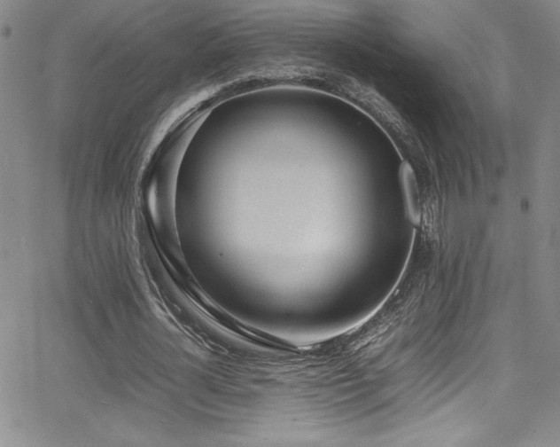 X0000064060724200601271251