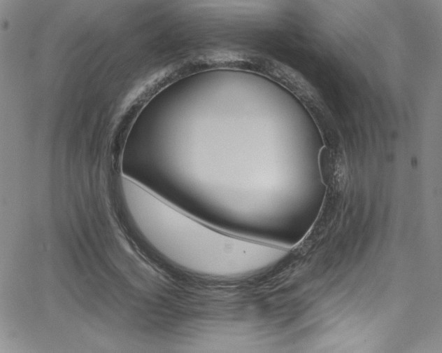 X0000064060732200601271251