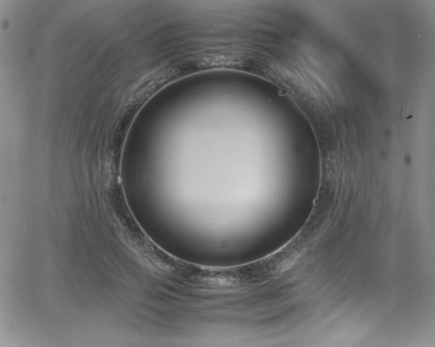 X0000064060741200601271252