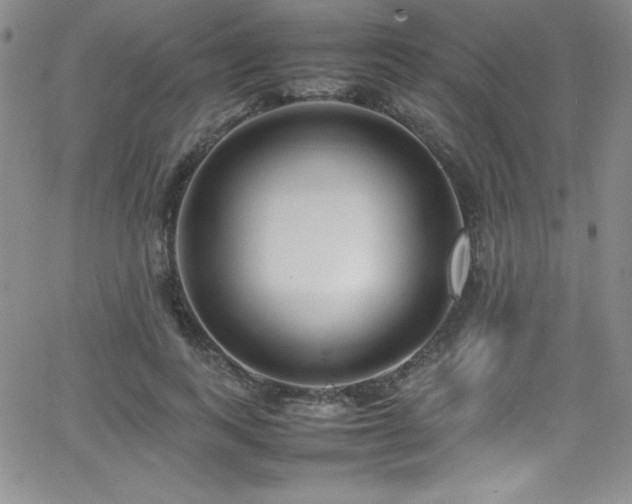 X0000064060743200601271252