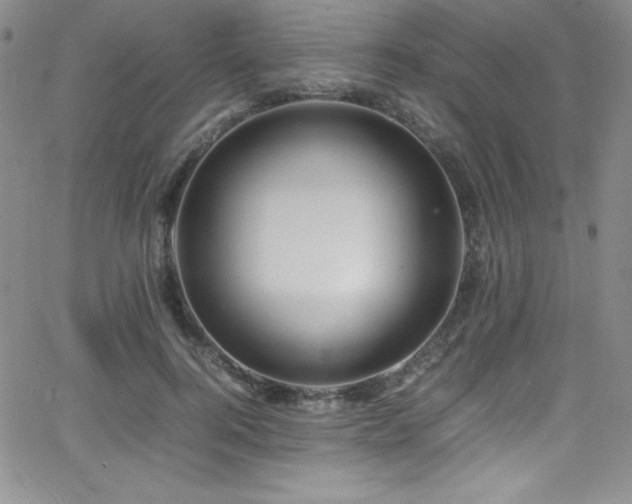 X0000064060744200601271252