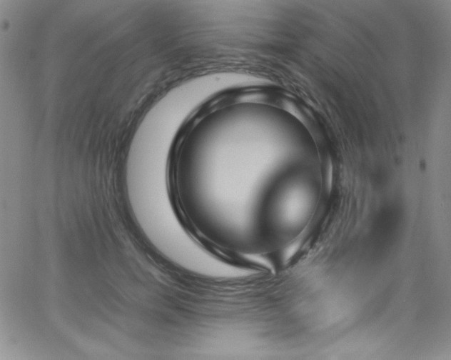 X0000064060750200601271252
