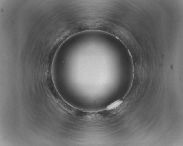 X0000064060752200601271252