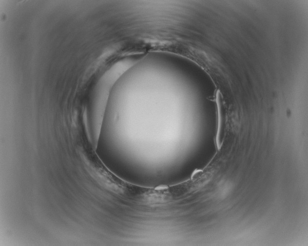 X0000064060756200601271252