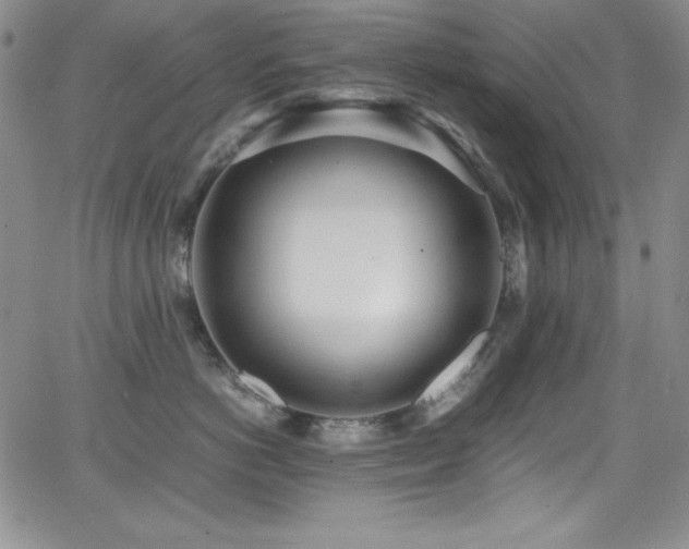 X0000064060766200601271252