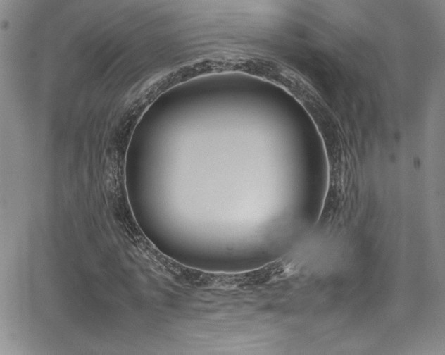 X0000064060773200601271251