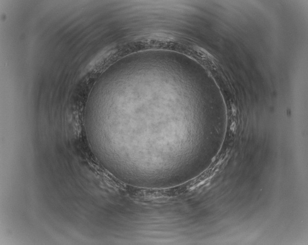 X0000064060774200601271251
