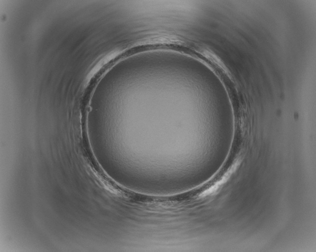 X0000064060781200601271251