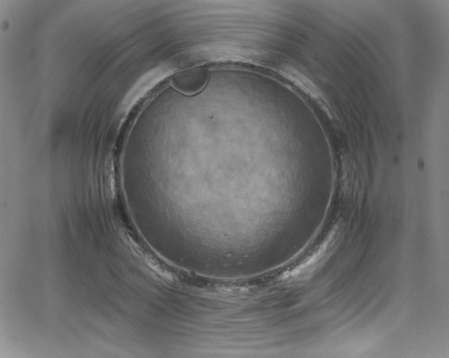 X0000064060782200601271251