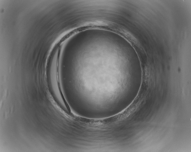 X0000064060784200601271251