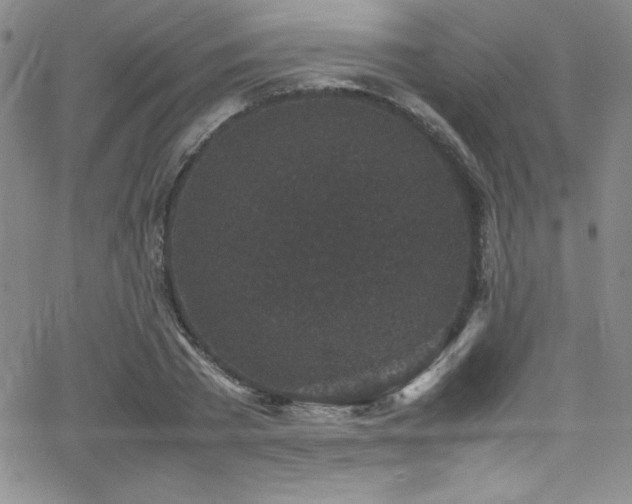 X0000064060785200601271251