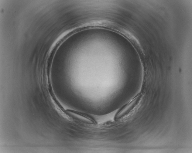 X0000064060792200601271251