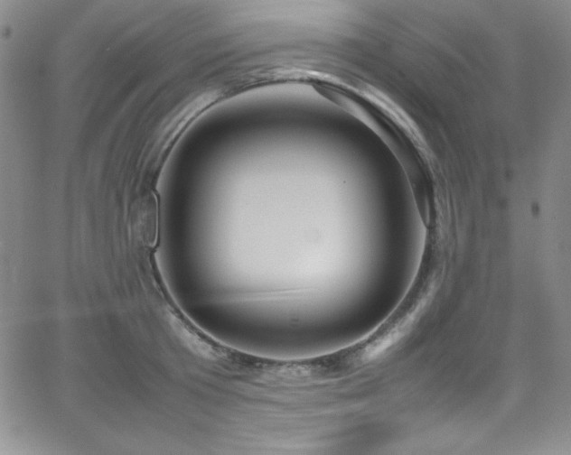 X0000064060801200601271251