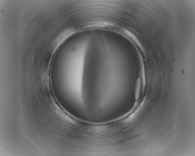 X0000064060802200601271251